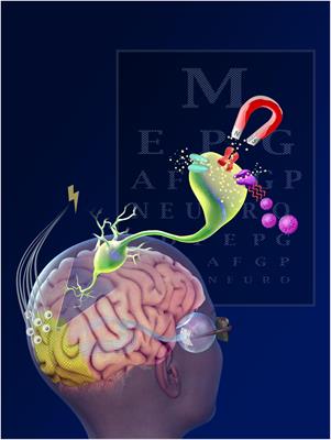 New Vision for Visual Prostheses